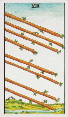 Eight of Wands 